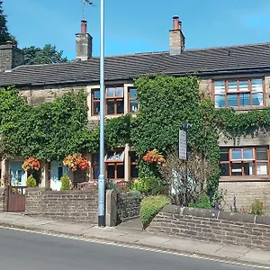 Rosebud Haworth